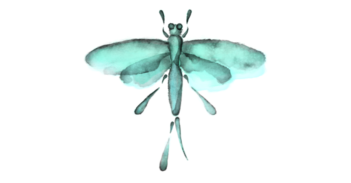 Mayfly Transparent Images