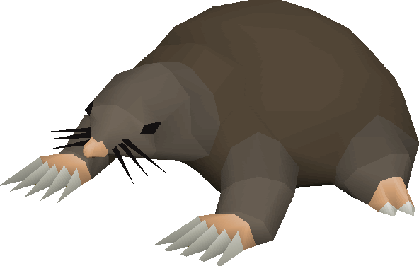 Mole Animal Background PNG Image