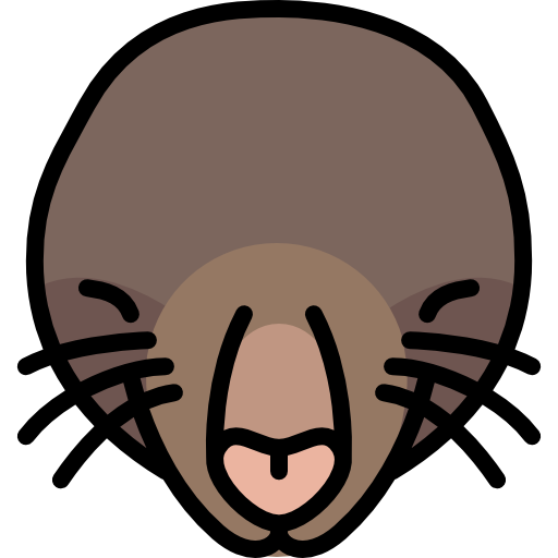 Mole Animal Download Free PNG