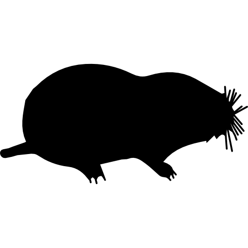 Mole Animal PNG Free File Download