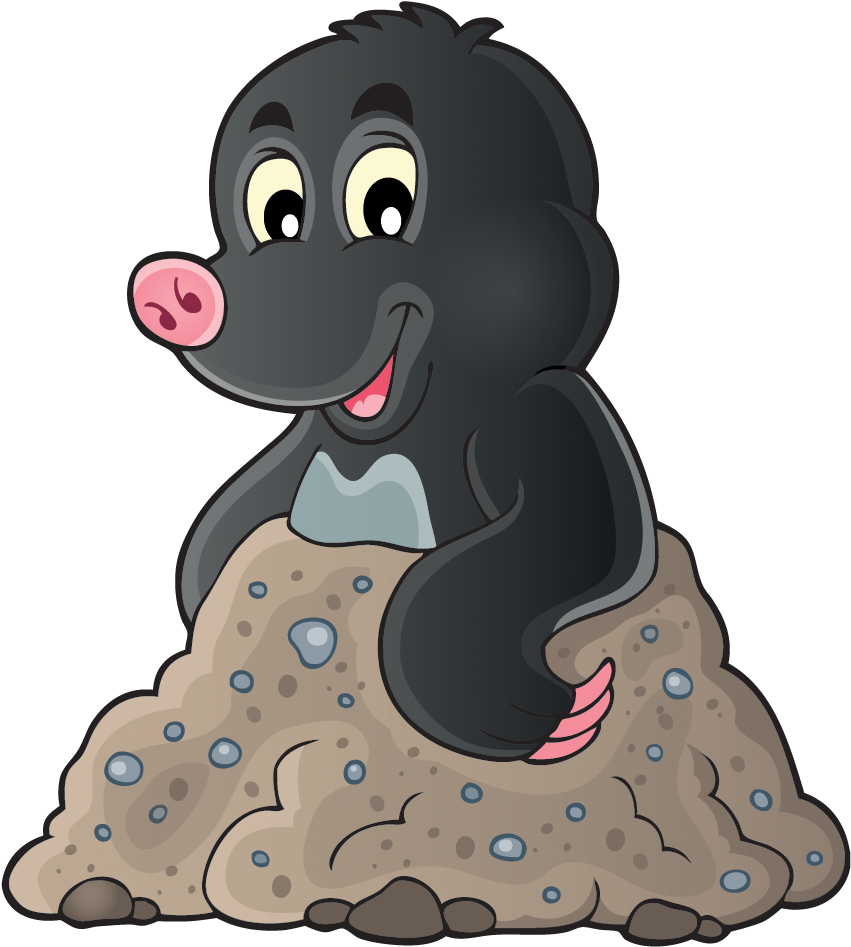 Mole Animal Transparent Image