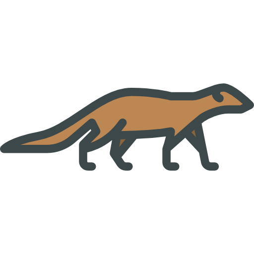 Mongooses PNG HD Quality