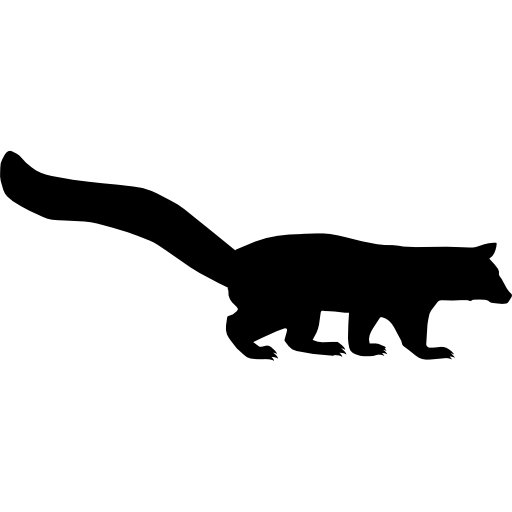 Mongooses Transparent Images