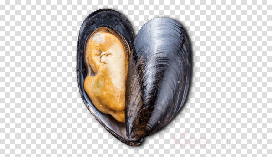 Mussels PNG Photo Image