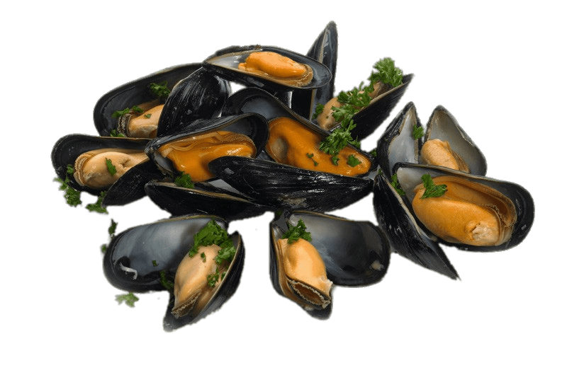 Mussels Transparent Free PNG