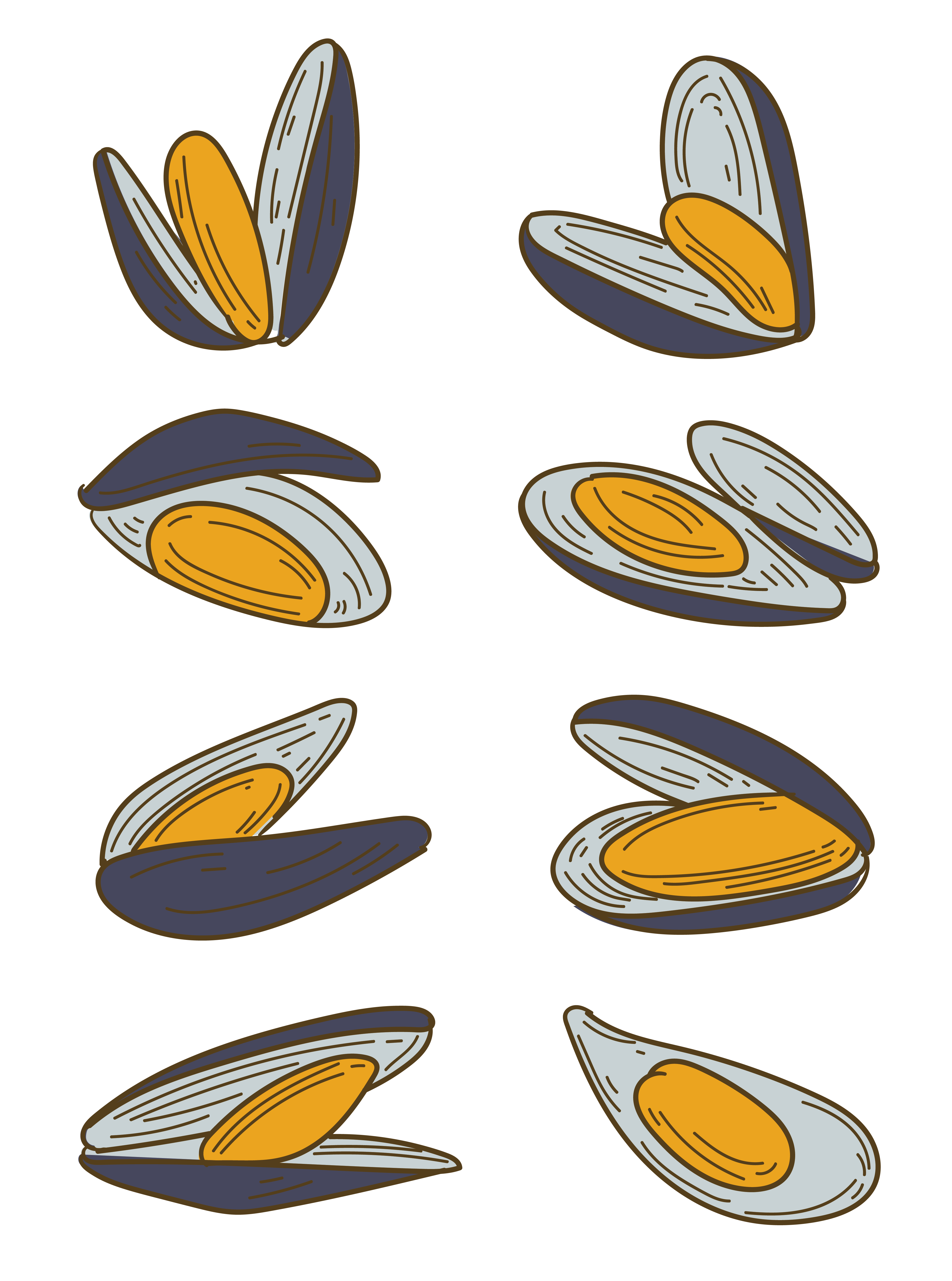 Mussels Transparent PNG