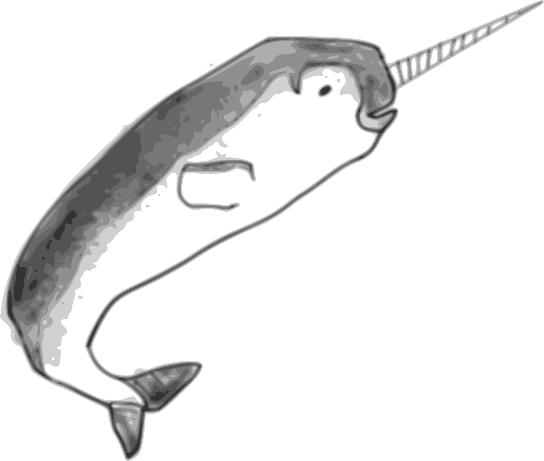 Narwhale Free PNG