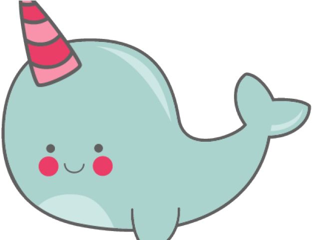 Narwhale PNG Clipart Background