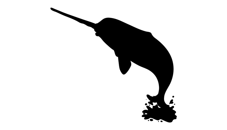 Narwhale PNG Pic Background