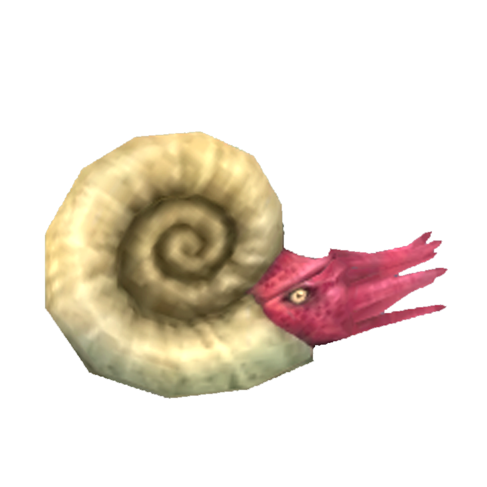 Nautiloid PNG Free File Download
