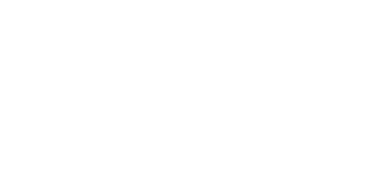 Nike Transparent File