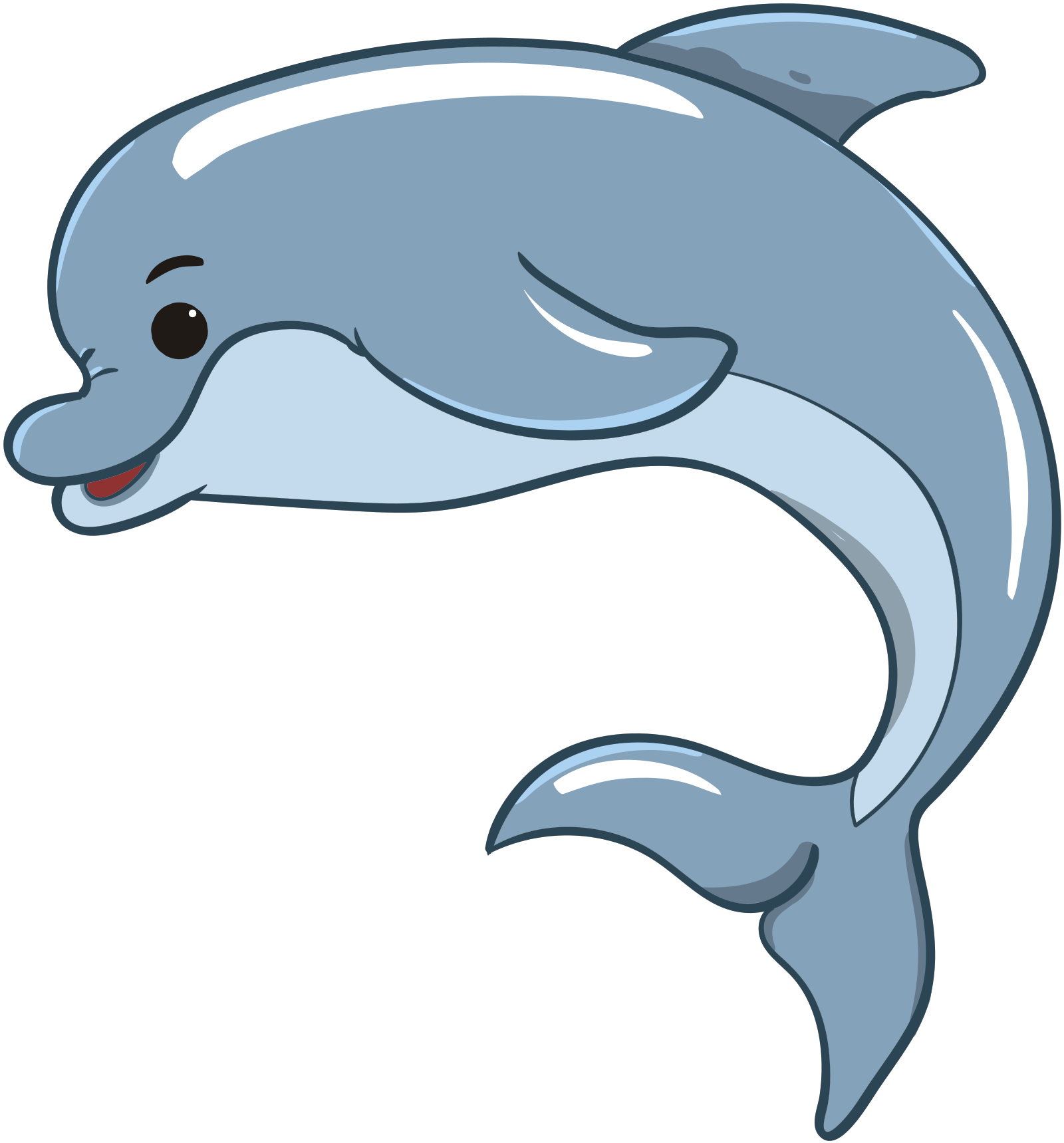 Oceanic Dolphins Download Free PNG