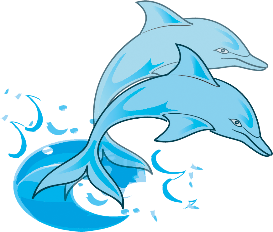 Oceanic Dolphins Transparent Background