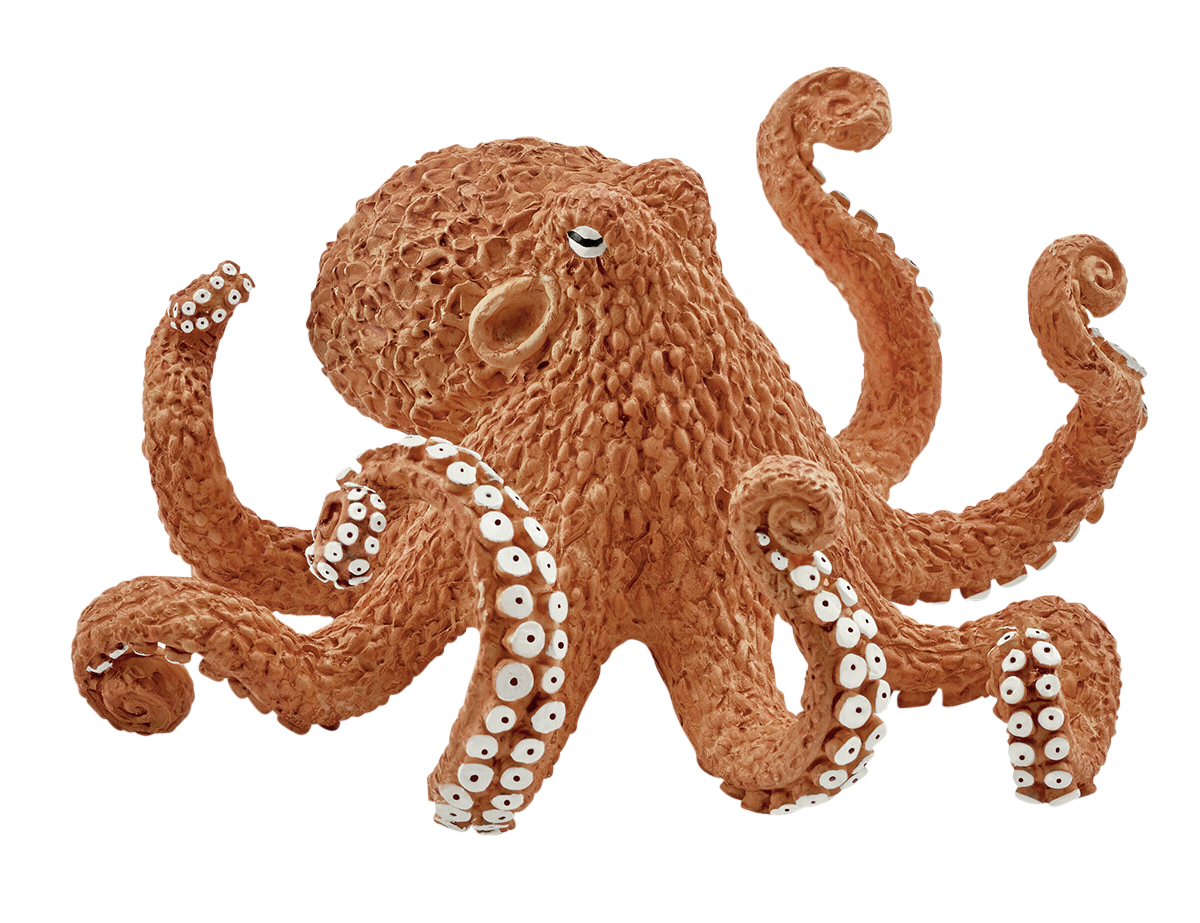 Octopus PNG Pic Background