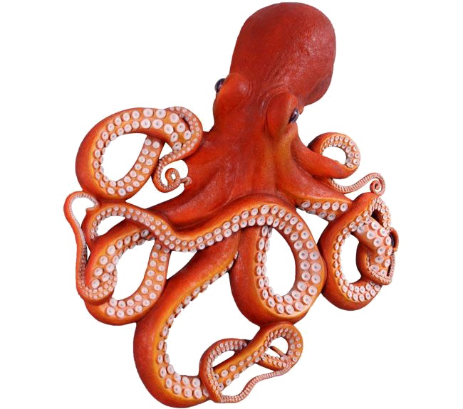 Octopus Transparent Images