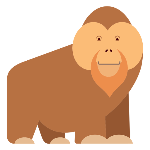 Orangutan PNG Images HD