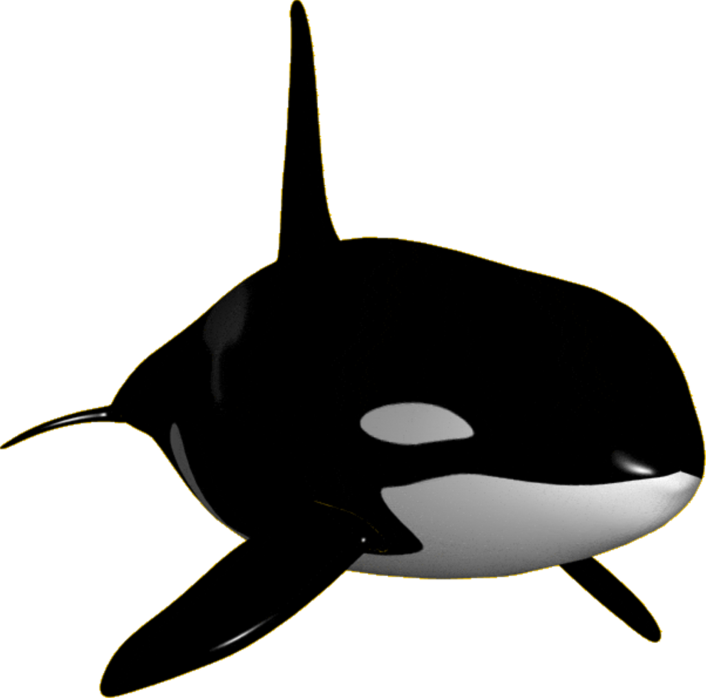 Orca Background PNG Image
