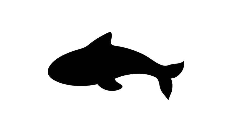 Orca Background PNG