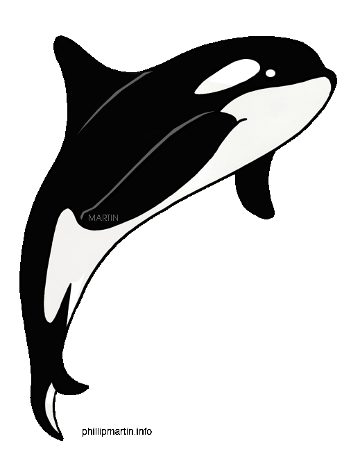 Orca Download Free PNG