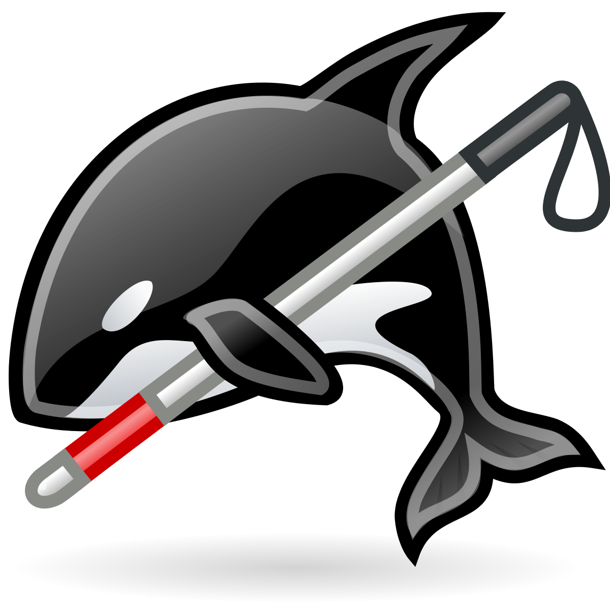 Orca PNG Clipart Background