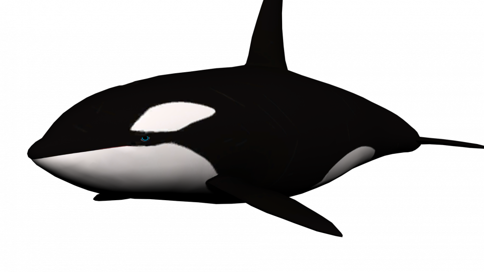 Orca Transparent Free PNG