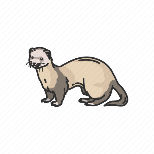 Otters Background PNG Image