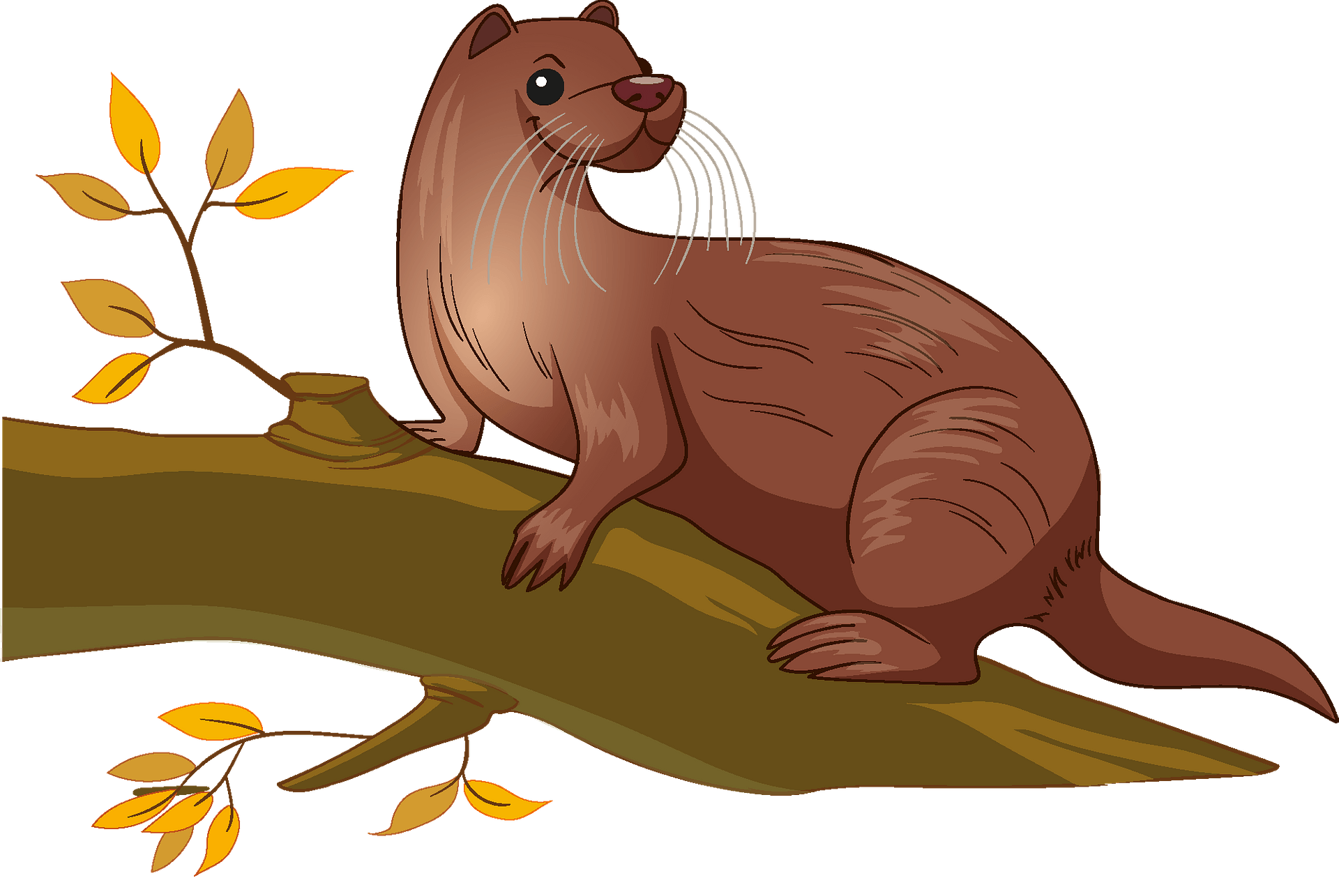 Otters Background PNG