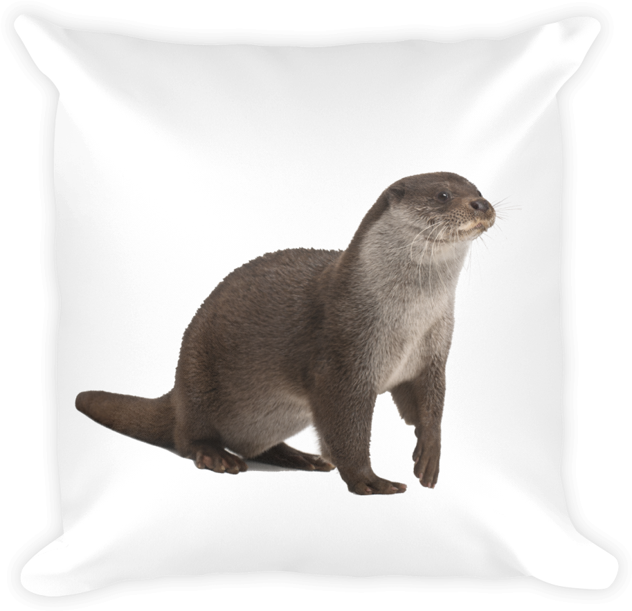 Otters Free PNG