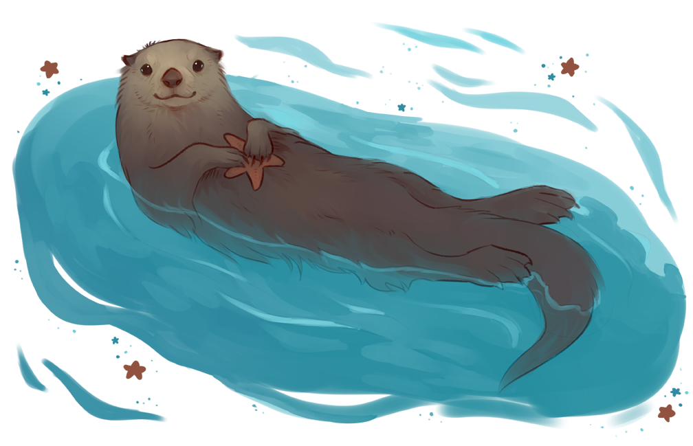 Otters PNG Background