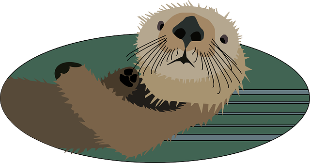 Otters PNG Clipart Background