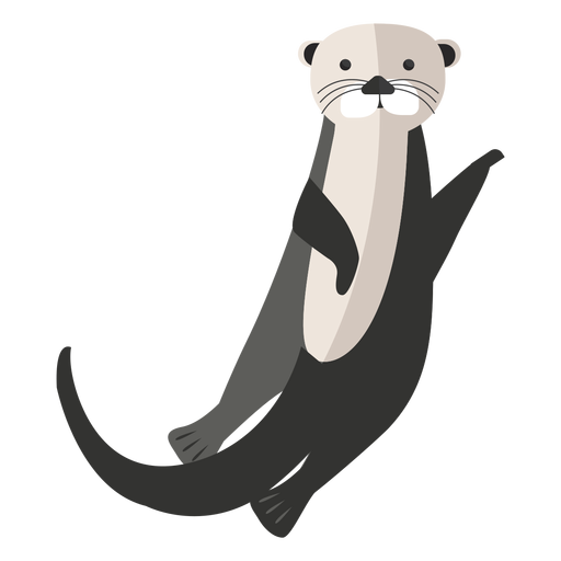 Otters PNG Photos