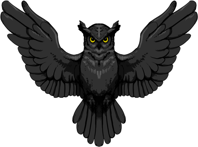 Owl Background PNG Image