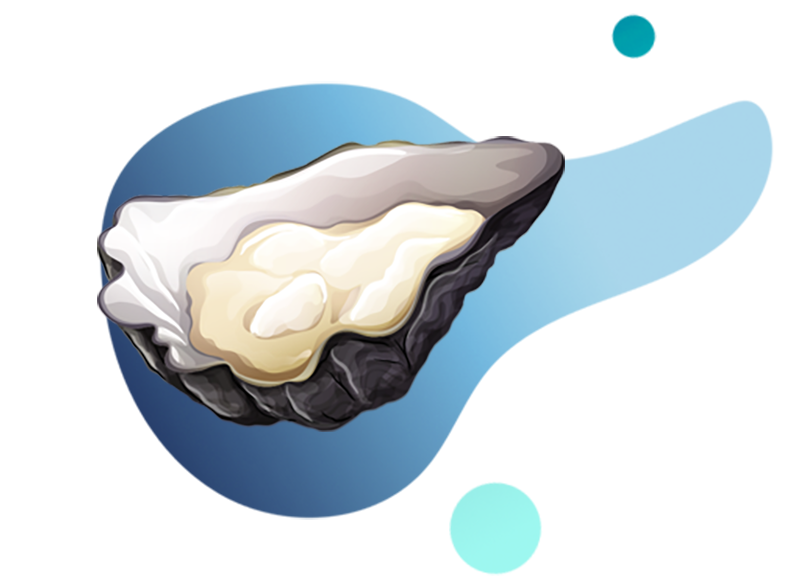 Pacific Oyster PNG Clipart Background