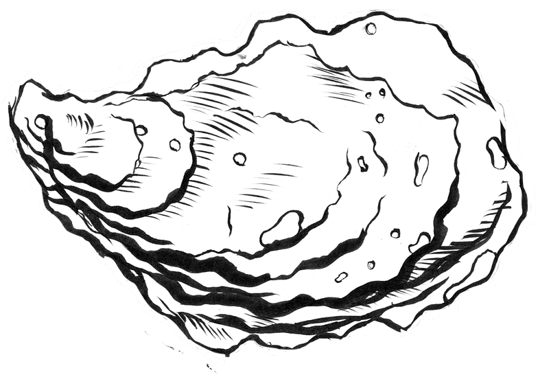Pacific Oyster PNG HD Quality