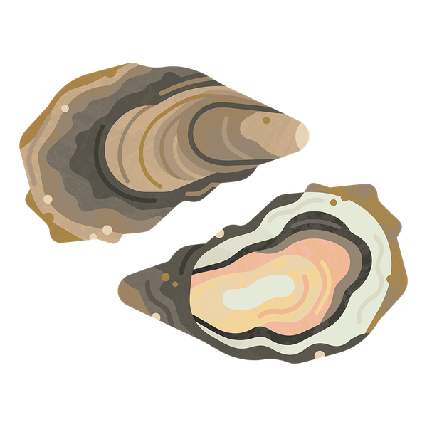 Pacific Oyster Transparent Image