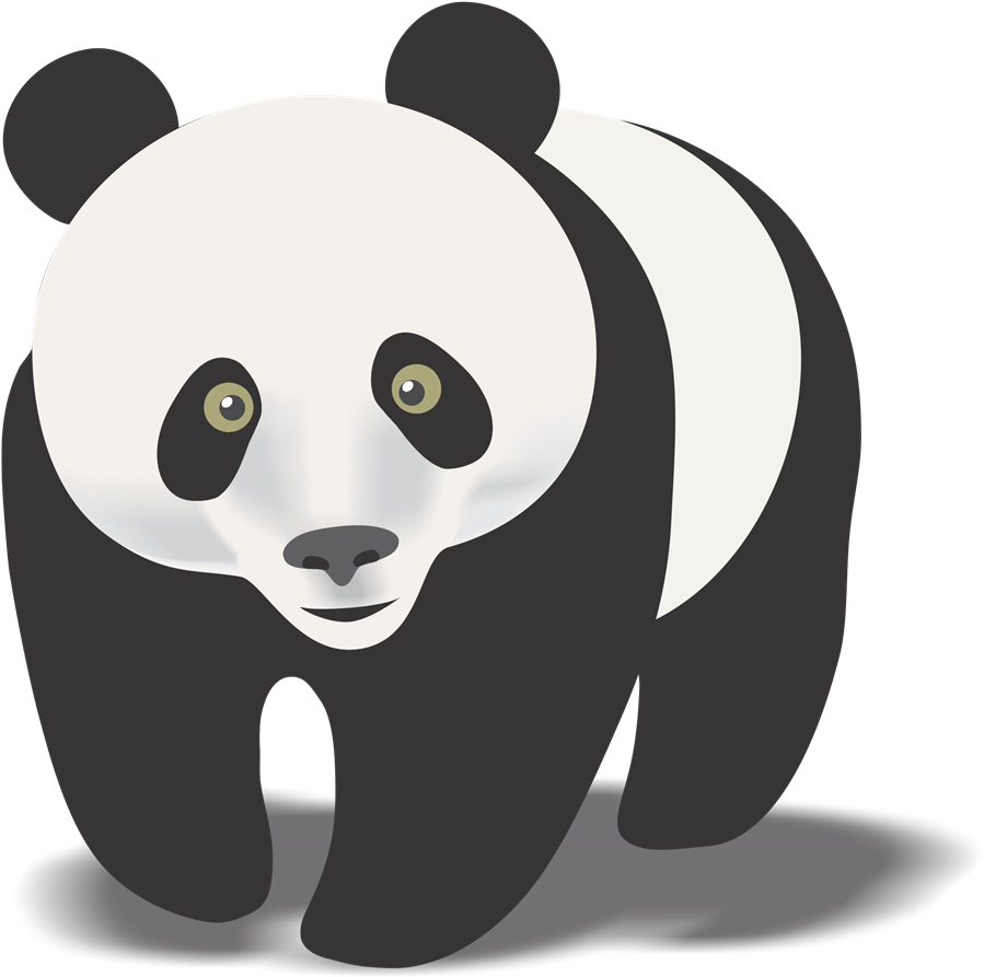 Panda Bear Background PNG