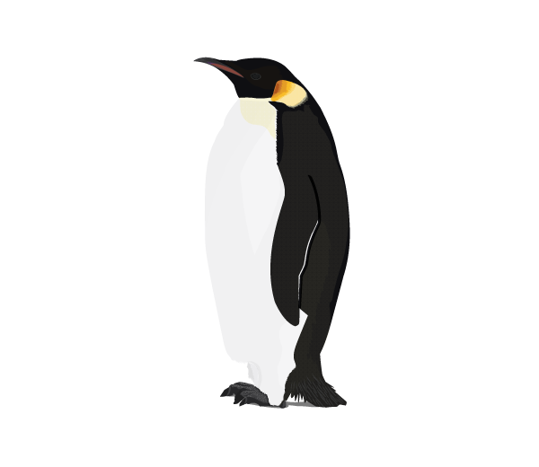 Penguin Transparent File