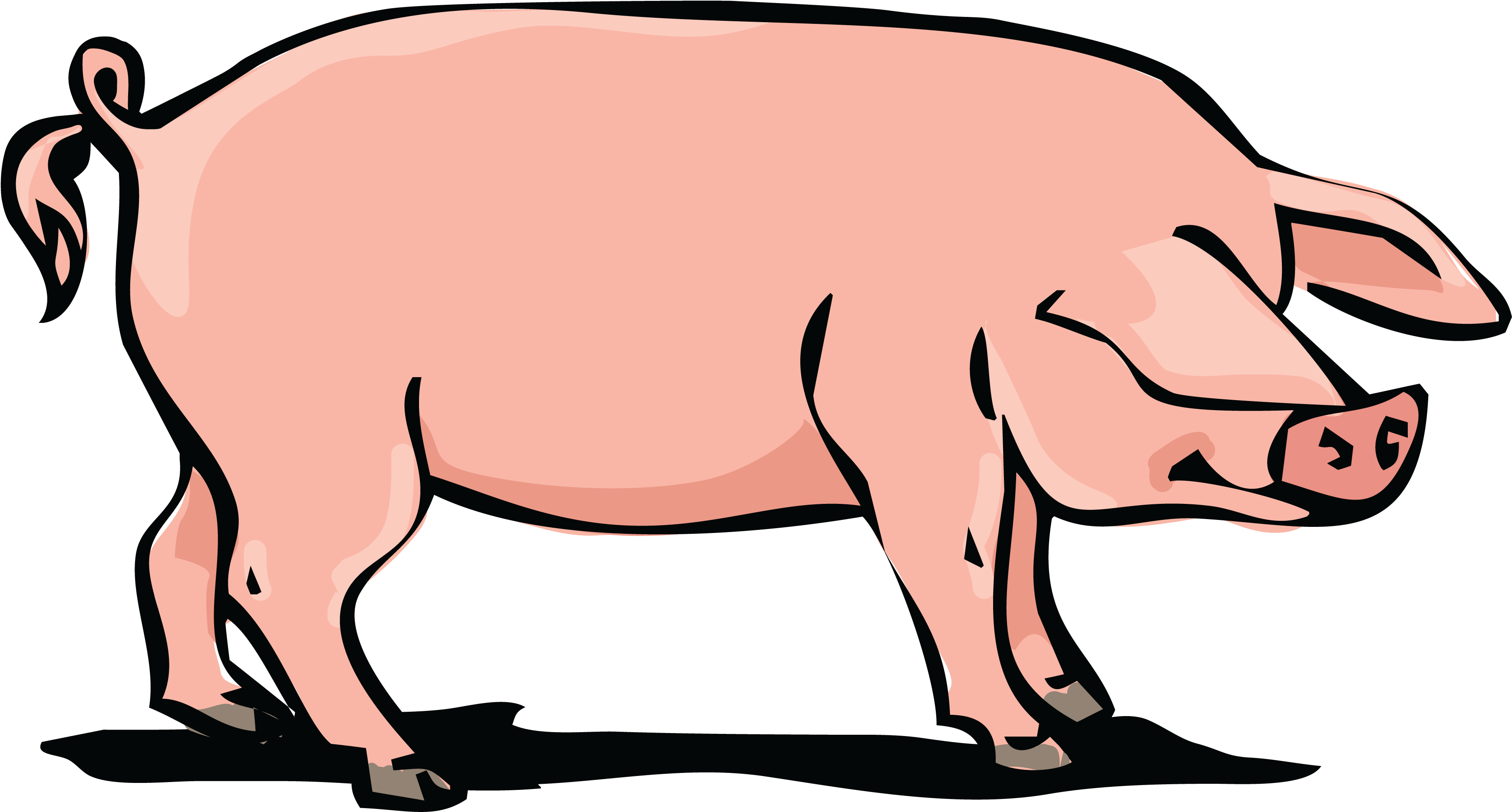 Pig Background PNG Image