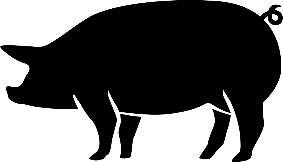 Pig PNG Images HD