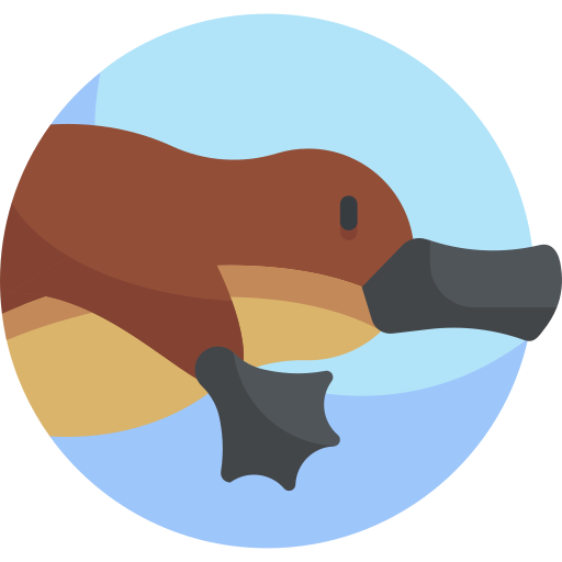 Platypus PNG Pic Background