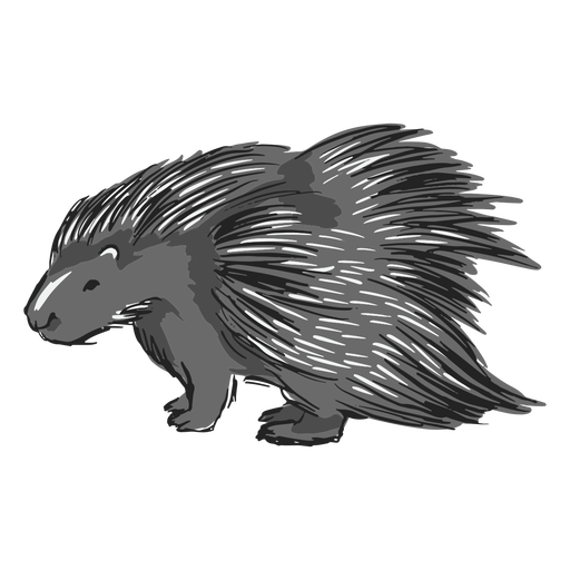 Porcupine Download Free PNG