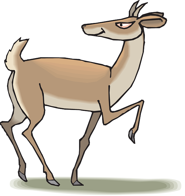 Pronghorn PNG Clipart Background