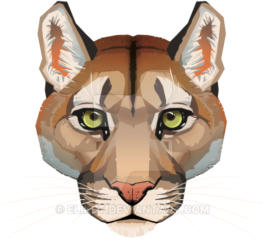 Puma Animal Transparent Background