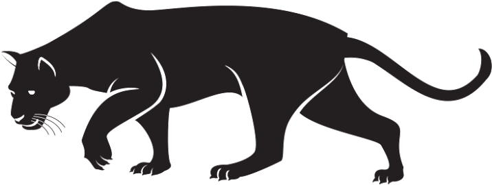 Puma Animal Transparent File