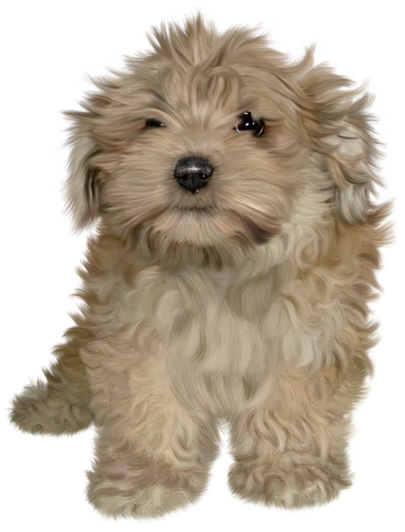 Puppies PNG Free File Download