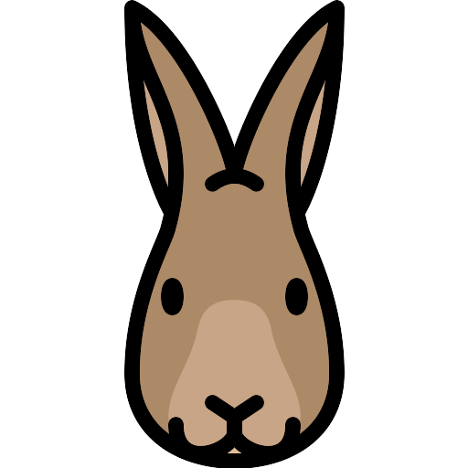 Rabbit PNG Pic Background