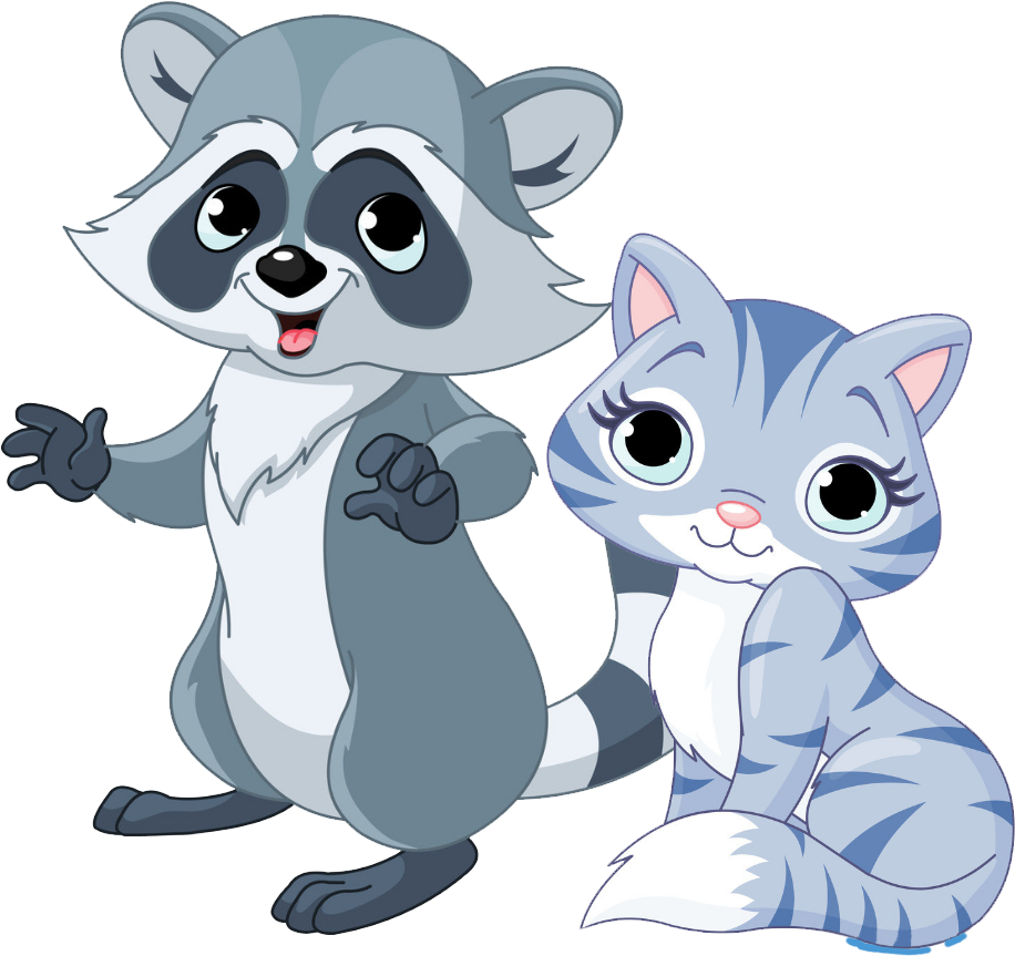 Raccoons Background PNG Image
