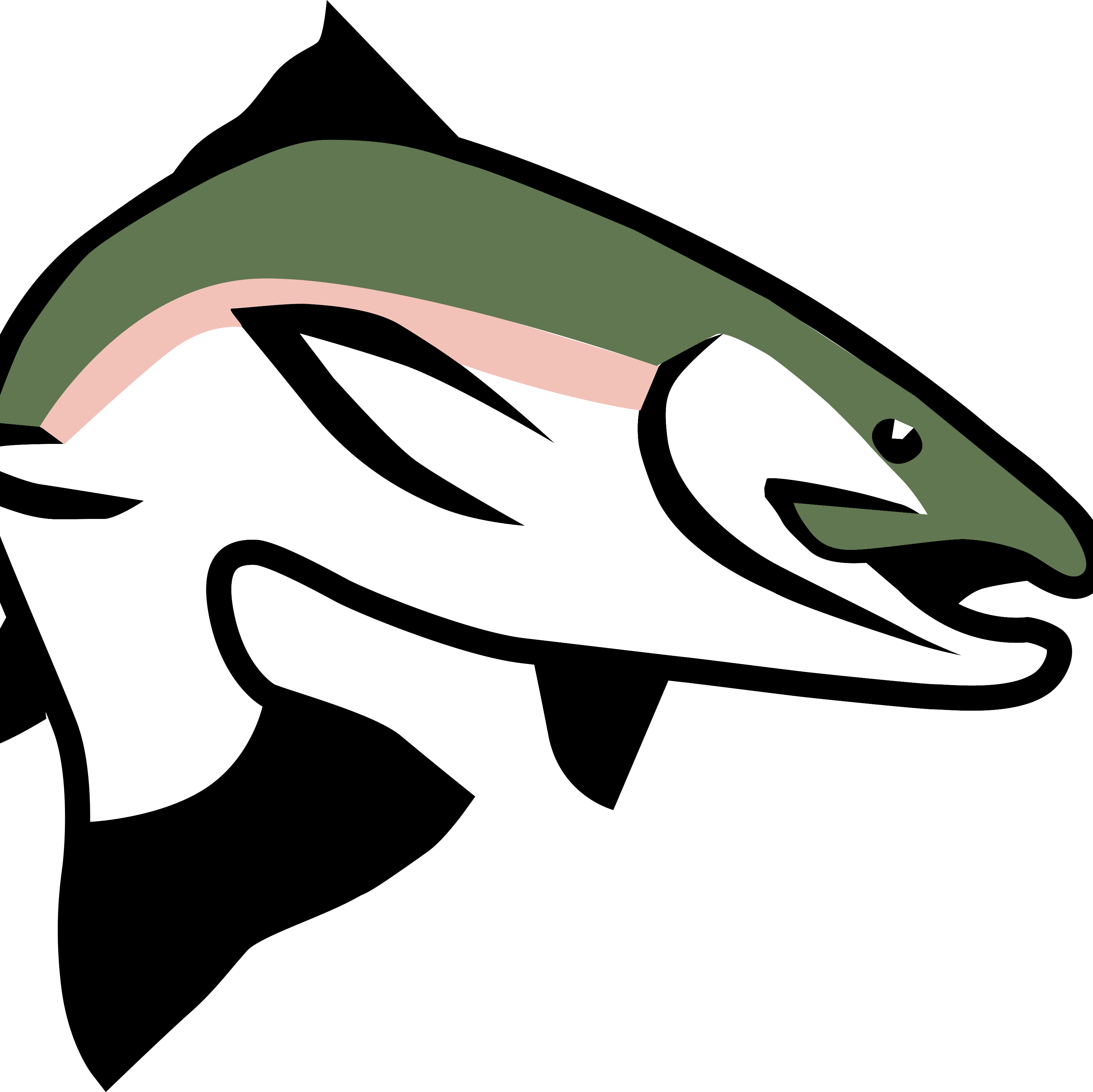 Rainbow Trout PNG HD Quality