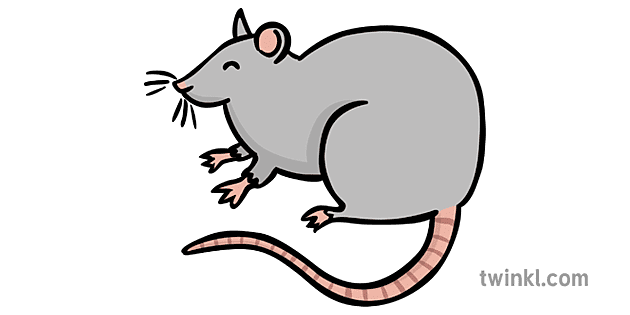 Rat Background PNG
