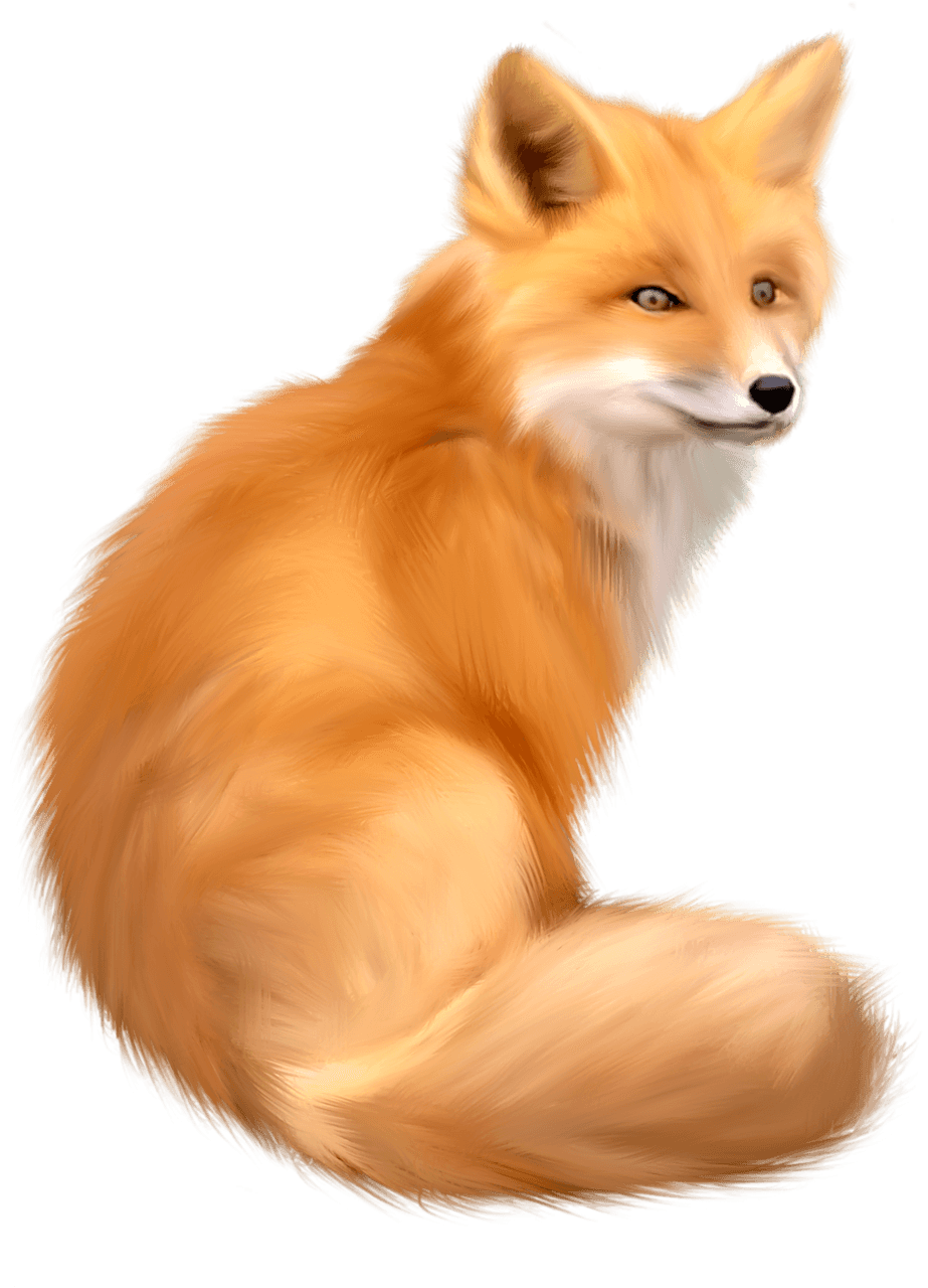 Red Fox Transparent File
